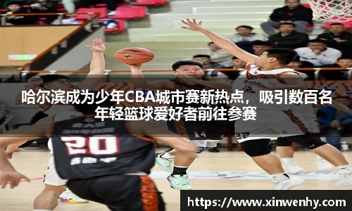 哈尔滨成为少年CBA城市赛新热点，吸引数百名年轻篮球爱好者前往参赛