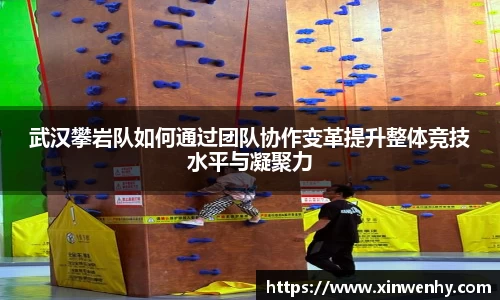 武汉攀岩队如何通过团队协作变革提升整体竞技水平与凝聚力