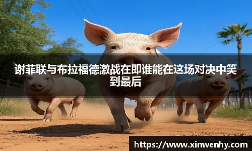 谢菲联与布拉福德激战在即谁能在这场对决中笑到最后