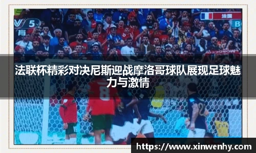 法联杯精彩对决尼斯迎战摩洛哥球队展现足球魅力与激情